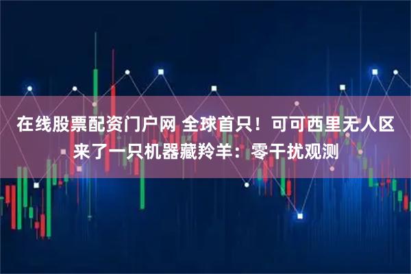 在线股票配资门户网 全球首只！可可西里无人区来了一只机器藏羚羊：零干扰观测
