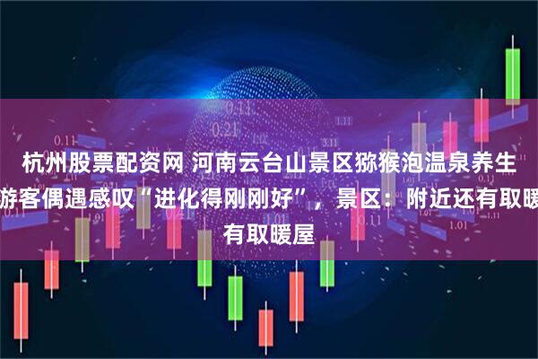 杭州股票配资网 河南云台山景区猕猴泡温泉养生，游客偶遇感叹“进化得刚刚好”，景区：附近还有取暖屋